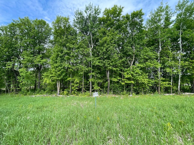 TBD 290th St, Oakland Twp, MN 56589