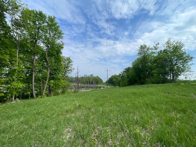 TBD 290th St, Oakland Twp, MN 56589