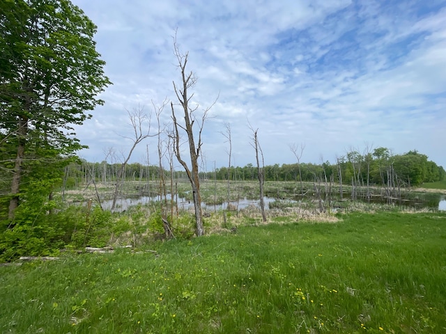 TBD 290th St, Oakland Twp, MN 56589