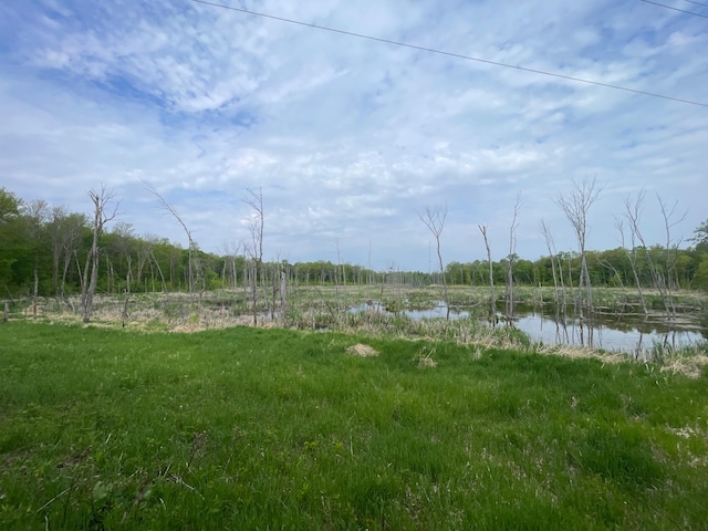 TBD 290th St, Oakland Twp, MN 56589
