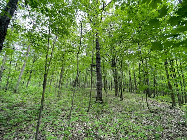 TBD 290th St, Oakland Twp, MN 56589