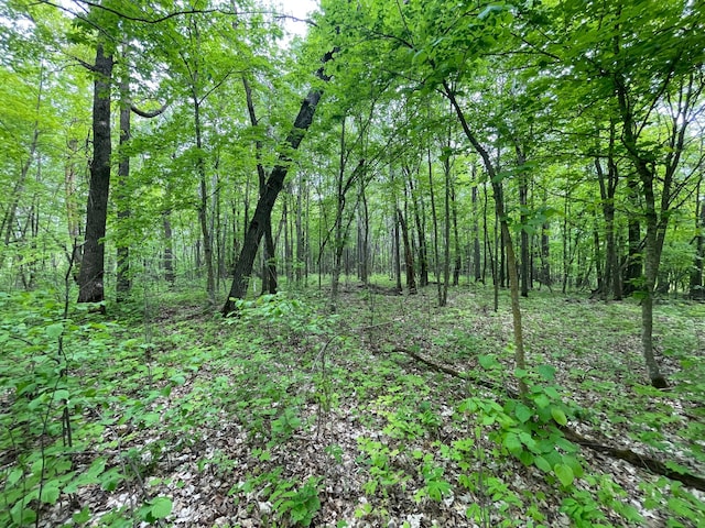 TBD 290th St, Oakland Twp, MN 56589