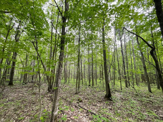 TBD 290th St, Oakland Twp, MN 56589