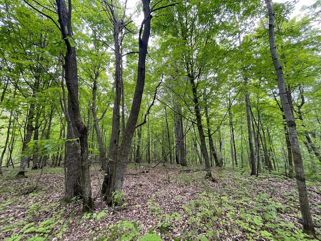 TBD 290th St, Oakland Twp, MN 56589