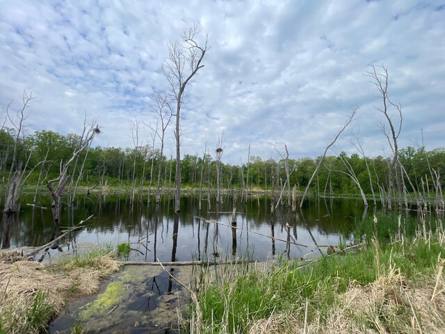 TBD 290th St, Oakland Twp, MN 56589