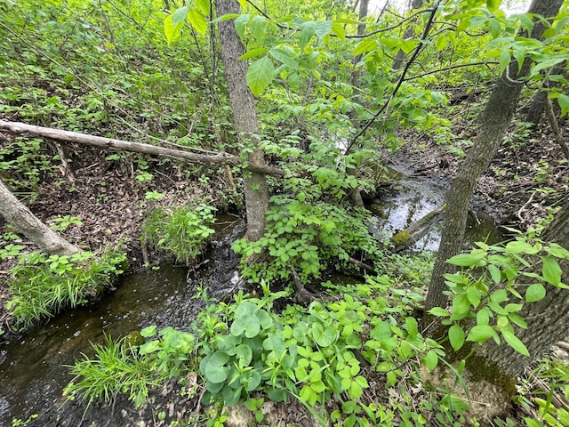 TBD 290th St, Oakland Twp, MN 56589