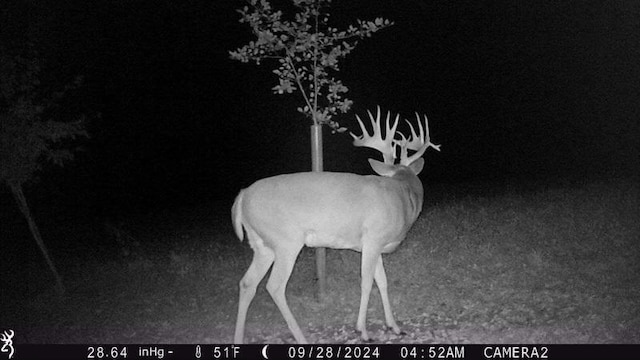 TBD 290th St, Oakland Twp, MN 56589