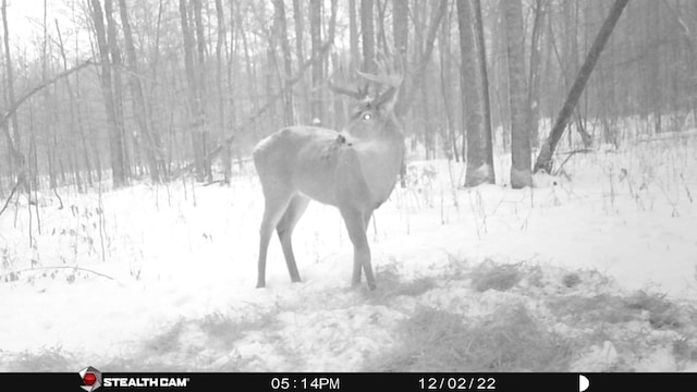 TBD 290th St, Oakland Twp, MN 56589