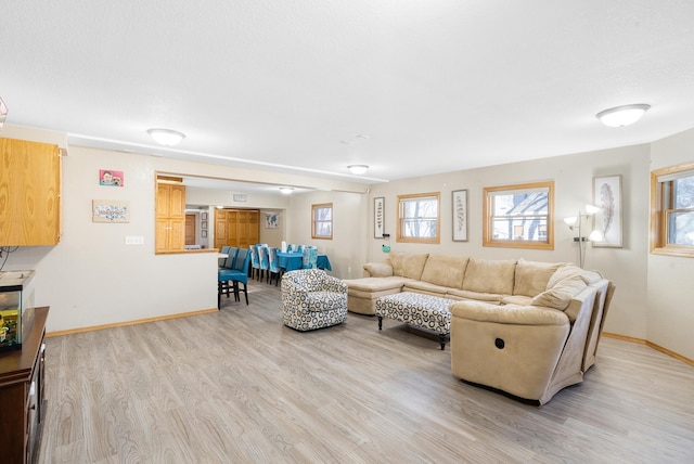 555 4th Ave SE, Wells, MN 56097 - photo 4