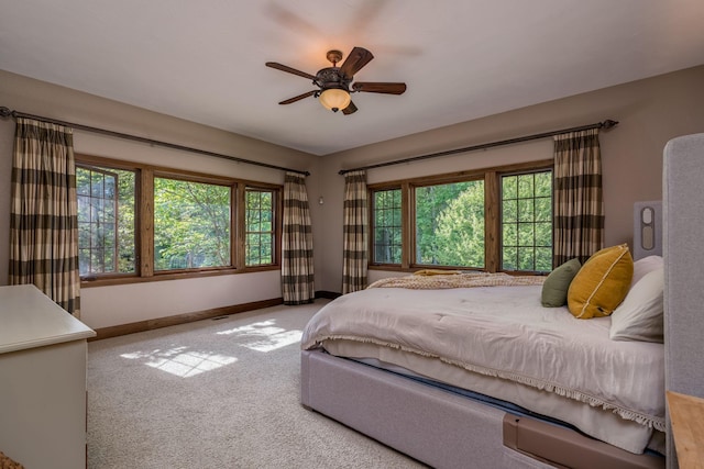 56273 185th Ln, Rapidan Twp, MN 56037 - carpeted bedroom featuring baseboards, multiple windows, and ceiling fan