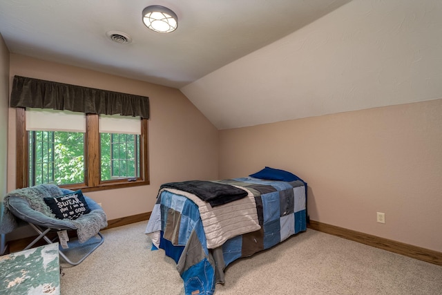 56273 185th Ln, Rapidan Twp, MN 56037 - bedroom with vaulted ceiling, carpet floors, and baseboards