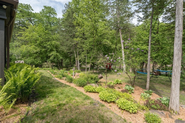 56273 185th Ln, Rapidan Twp, MN 56037 - view of yard