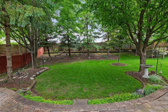2392 Molnau Ct, Chaska, MN 55318 - view of yard
