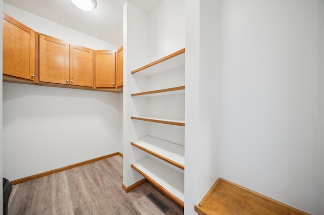 1106 Shumway Ct, Faribault, MN 55021 - spacious closet with wood finished floors