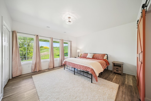 1106 Shumway Ct, Faribault, MN 55021 - bedroom featuring a barn door, wood finished floors, and baseboards