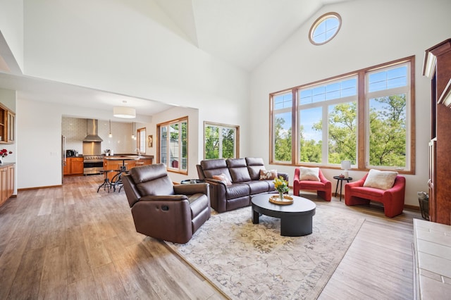 1106 Shumway Ct, Faribault, MN 55021 - living room featuring high vaulted ceiling, light wood-style flooring, and baseboards