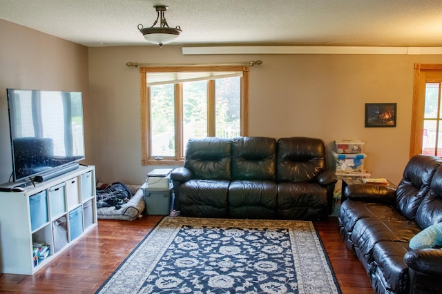 44818 215th Ave, Staples Twp, MN 56479 - living area featuring wood finished floors and a textured ceiling