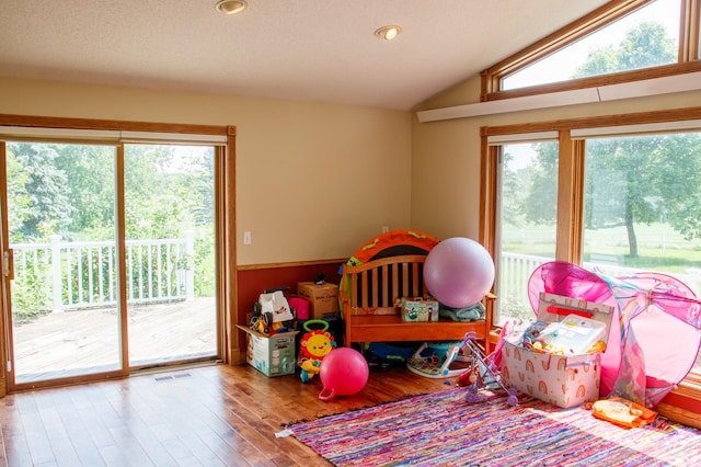 44818 215th Ave, Staples Twp, MN 56479 - rec room featuring wood finished floors, vaulted ceiling, a wainscoted wall, and recessed lighting