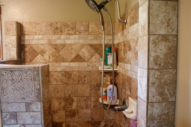 44818 215th Ave, Staples Twp, MN 56479 - detailed view of tiled shower