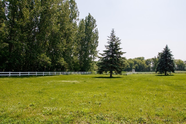 44818 215th Ave, Staples Twp, MN 56479 - view of yard with a rural view