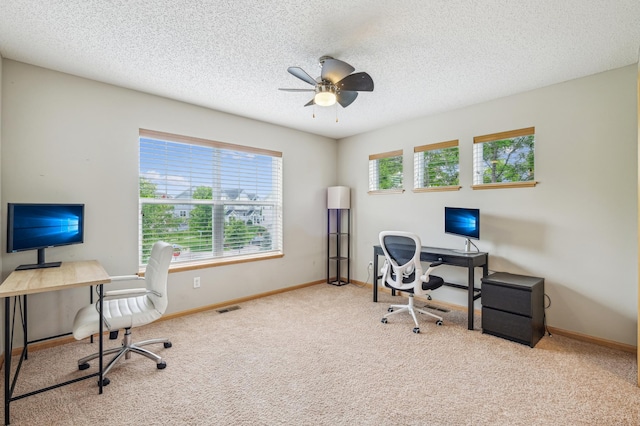 1964 Commonwealth Blvd Unit 5, Chanhassen, MN 55317 - office area featuring carpet, healthy amount of natural light, a textured ceiling, a ceiling fan, and baseboards