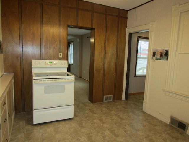 421 8th Ave, Madison, MN 56256 - kitchen with white electric range oven, brown cabinets, and light countertops