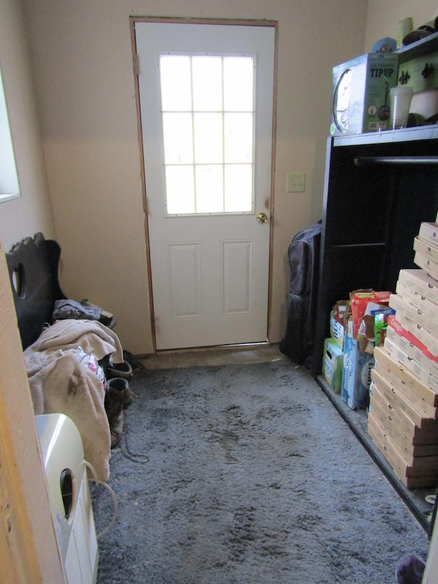 421 8th Ave, Madison, MN 56256 - doorway to outside with carpet flooring