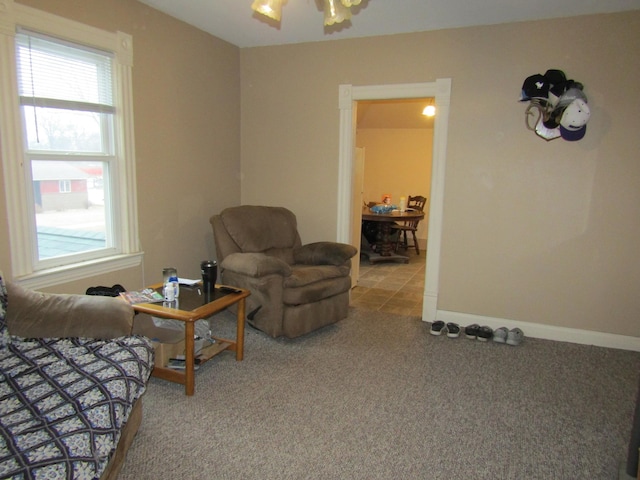 421 8th Ave, Madison, MN 56256 - living area with carpet floors