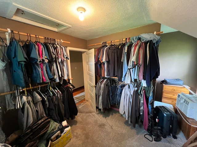 355 20th St SW, Benson, MN 56215 - walk in closet featuring carpet floors and attic access