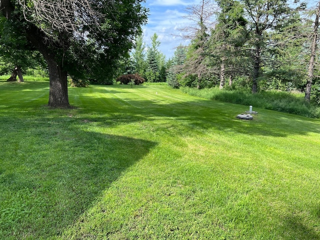 355 20th St SW, Benson, MN 56215 - view of grassy yard