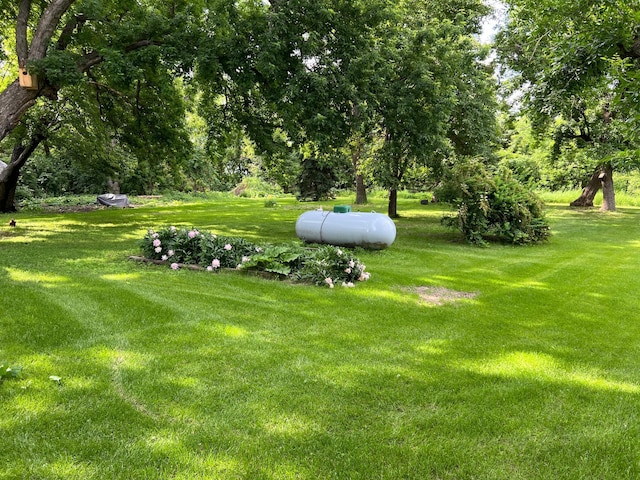 355 20th St SW, Benson, MN 56215 - view of green lawn