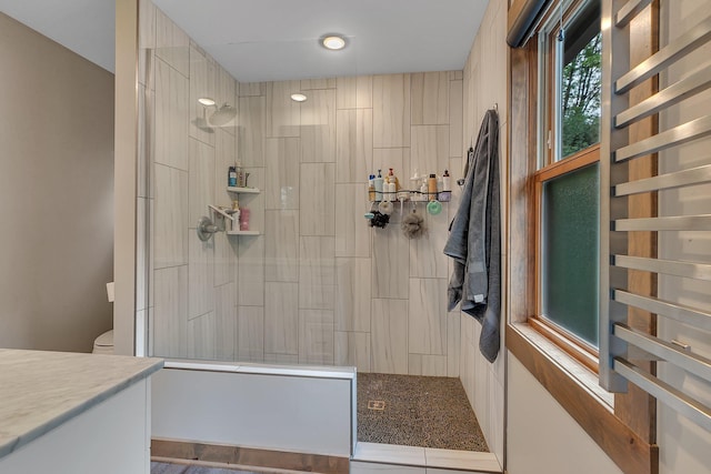 27806 Sundance Ln, Cold Spring, MN 56320 - full bathroom featuring walk in shower, radiator, and vanity