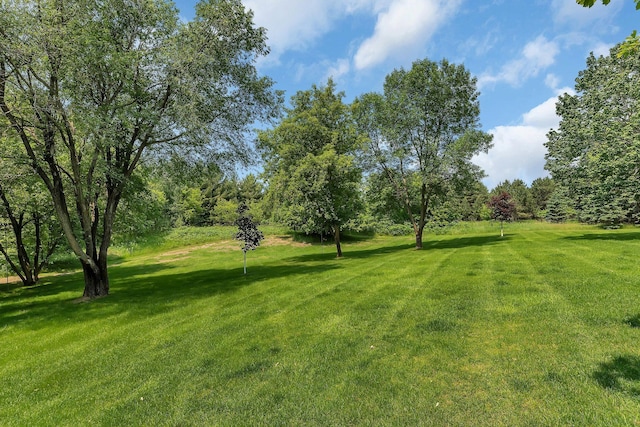 27806 Sundance Ln, Cold Spring, MN 56320 - view of green lawn