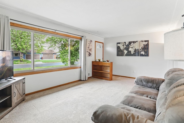 1202 Lyn Way, Hastings, MN 55033 - living room with light carpet and baseboards