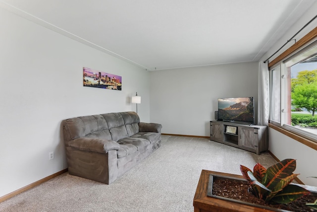 1202 Lyn Way, Hastings, MN 55033 - carpeted living area with baseboards