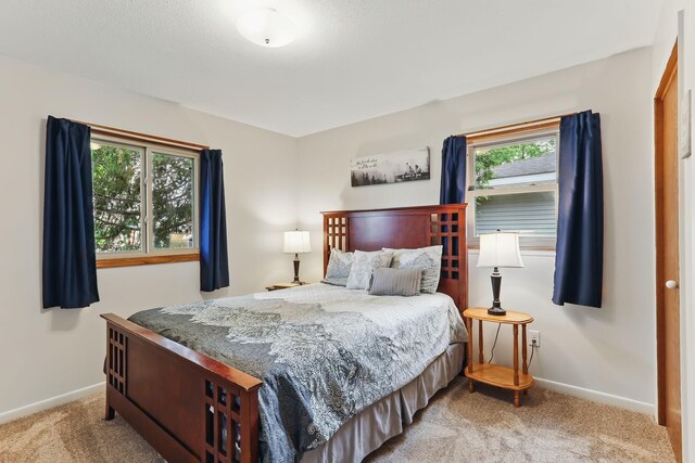 1202 Lyn Way, Hastings, MN 55033 - bedroom with light colored carpet and baseboards