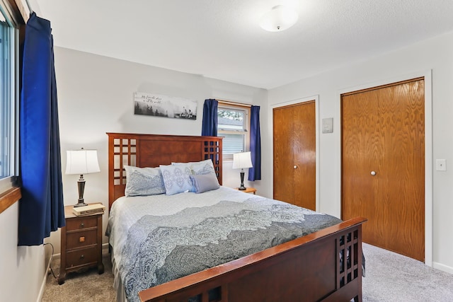 1202 Lyn Way, Hastings, MN 55033 - bedroom with carpet flooring and two closets