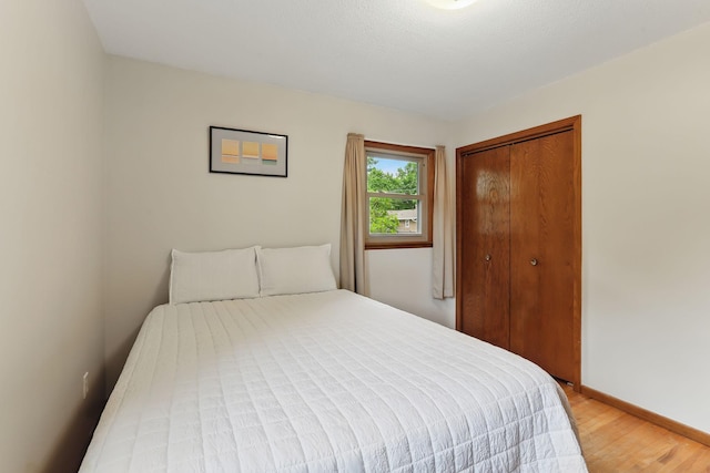 1202 Lyn Way, Hastings, MN 55033 - bedroom with a closet, light wood-style floors, and baseboards