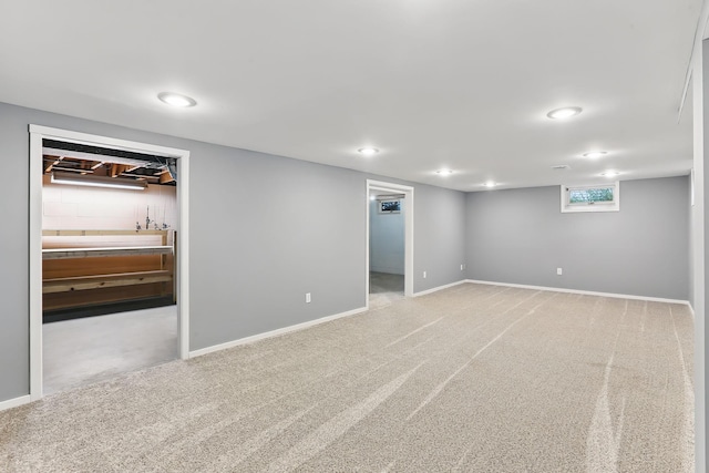 1202 Lyn Way, Hastings, MN 55033 - finished below grade area featuring carpet floors and baseboards