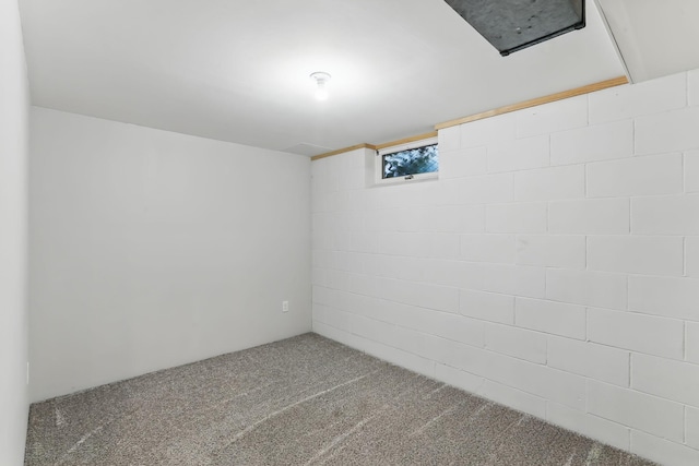1202 Lyn Way, Hastings, MN 55033 - below grade area featuring carpet flooring
