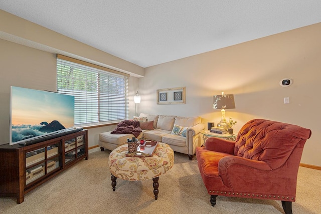 15610 24th Ave N Unit F, Plymouth, MN 55447 - living room with carpet floors and baseboards