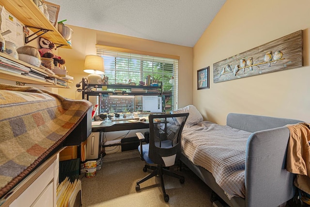 15610 24th Ave N Unit F, Plymouth, MN 55447 - bedroom with lofted ceiling, carpet, and a textured ceiling