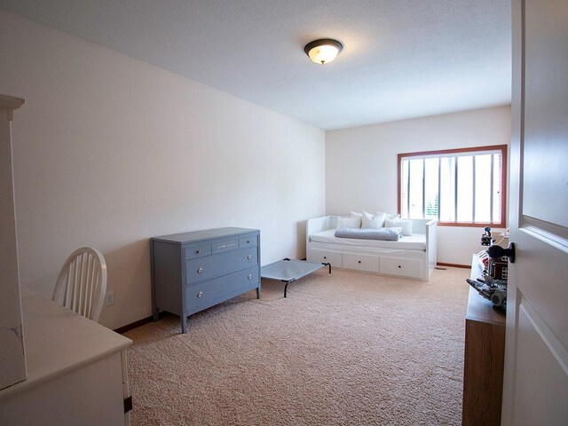 19801 Dover Dr, Farmington, MN 55024 - photo 28