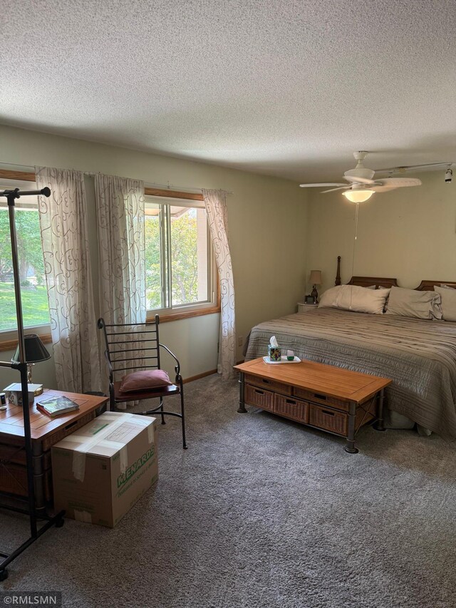 6800 Buckingham Ct, Woodbury, MN 55125 - carpeted bedroom with a textured ceiling