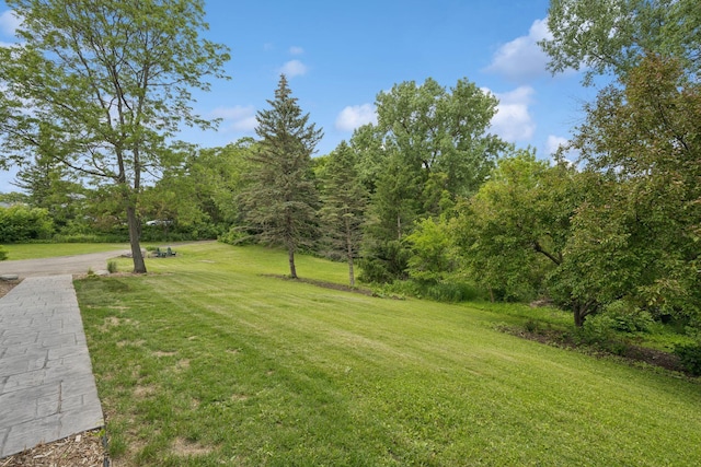 200 Marie Ave W, West Saint Paul, MN 55118 - view of green lawn