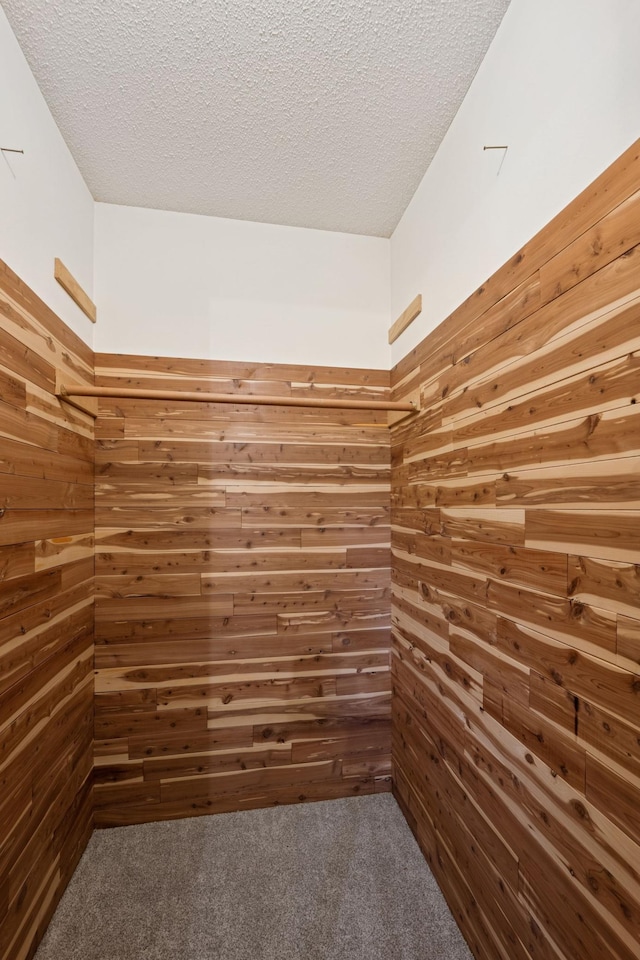200 Marie Ave W, West Saint Paul, MN 55118 - spacious closet with carpet