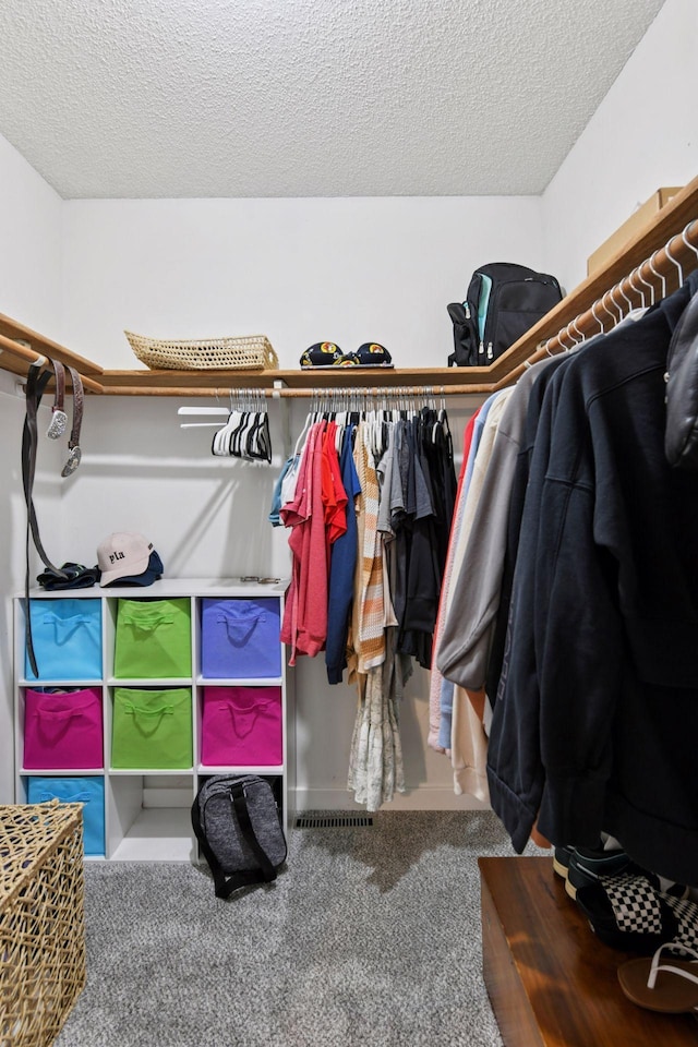 17698 Shore Ln W, Eden Prairie, MN 55346 - spacious closet with carpet flooring