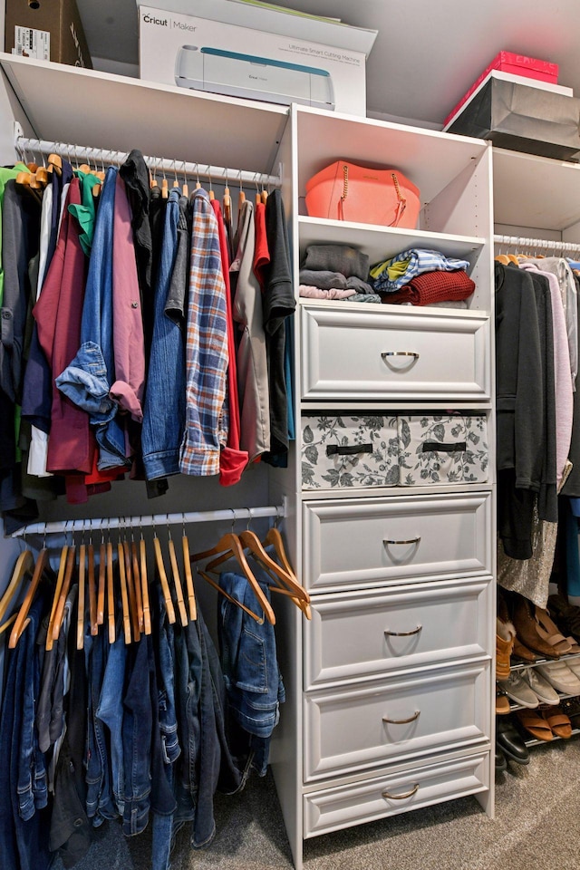 17698 Shore Ln W, Eden Prairie, MN 55346 - spacious closet with carpet