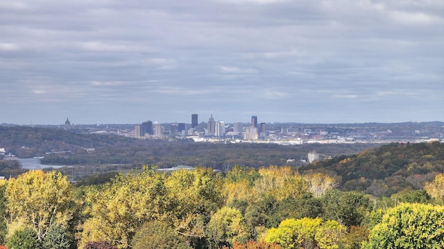 6539 Orchard Ridge Trl, Woodbury, MN 55129 - view of city