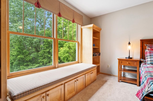 6539 Orchard Ridge Trl, Woodbury, MN 55129 - bedroom featuring light colored carpet and baseboards
